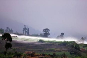 Bau Belerang Menyengat dari Kawah Timbang