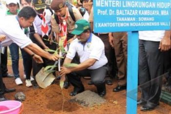 Menteri: 11 Daerah Aliran Sungai Perlu Penanganan Serius