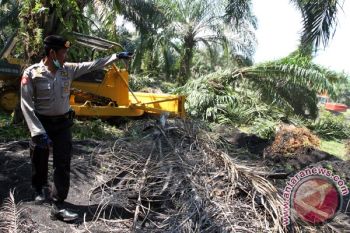 Eksekusi Lahan Sawit
