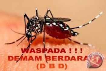 Tujuh Penderita DBD Semarang Meninggal