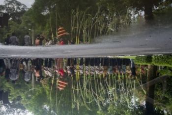 Dahlan Pesimistis Tercapai Swasembada Gula