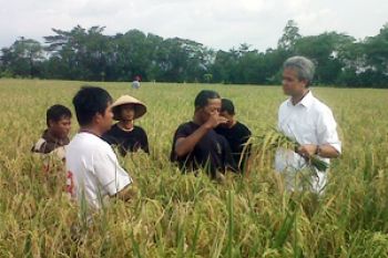 Ganjar Sambangi Petani Sukoharjo