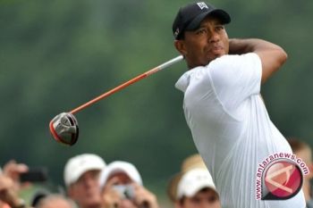 Woods peringkat teratas dunia golf
