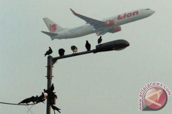 Penggiat konservasi paparkan strategi antisipasi tabrakan burung dengan pesawat