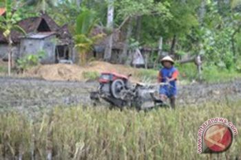 Bantul harapkan teknologi tanam tarik generasi muda 