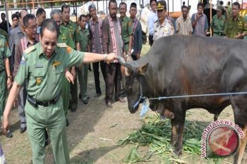 Sulteng Krisis Dokter Hewan