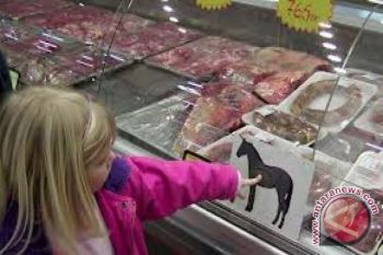 Pengawas makanan Belanda tarik 50.000 ton daging sapi