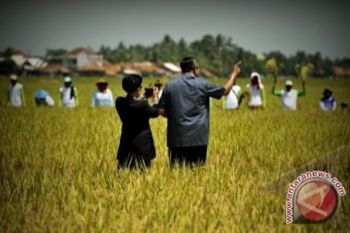 Presiden Minta Sarana Pertanian Terus Dipelihara