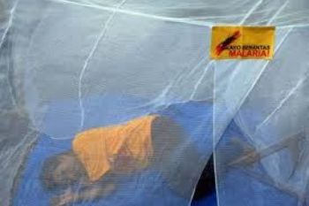 WHO Imbau Peningkatan Investasi Tanggulangi Malaria