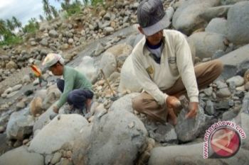 Batu Fosil Lebak Sudah Dikenal Dunia