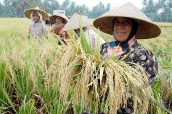 Ini Lima Daerah yang Dinilai Layak Berstatus Sejahtera
