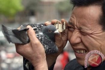 Petugas Bandara Periksa Penumpang dari China Antisipasi H7N9