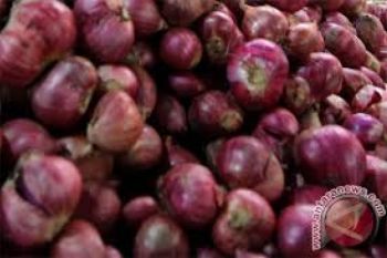 Tujuh Truk Bermuatan Bawang Ilegal Diamankan
