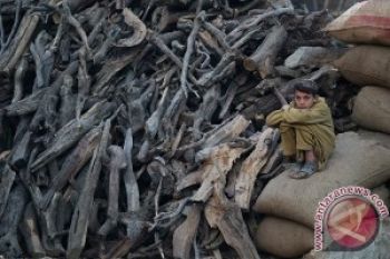 11 Anak Tewas dalam Serangan NATO di Afghanistan
