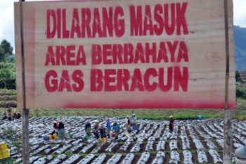 BPBD: Petani Masih Nekat Beraktivitas di Zona Bahaya 