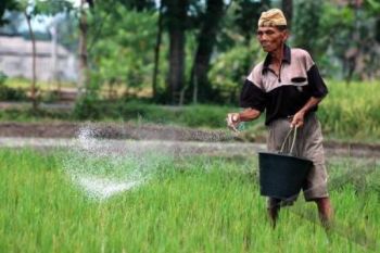Tingkatkan Produksi, Pekalongan Salurkan 775 Ton Pupuk