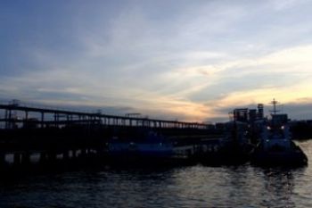 Harga CPO Turun/Foto Joko Sulistyo
