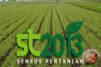 Pemutakhiran Data Pertanian Barsel Rampung 