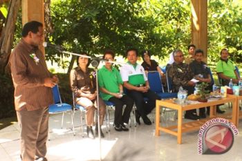 Kambuaya nilai Minut layak raih Adipura Kencana