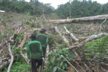 TNKS Solok Selatan Kesulitan Tindak Perambah Hutan