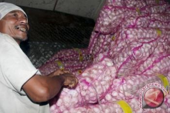 Keuntungan mafia bawang putih capai Rp19 triliun