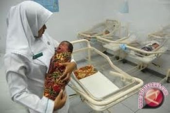 Bidan Miliki Peran Penting Turunkan Kematian Ibu 