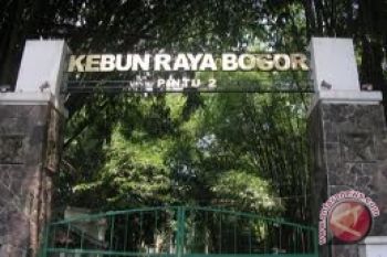 Kebun Raya Bogor kian terancam pesatnya pembangunan 