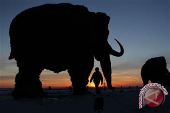 Mammoth Punah Karena Meteor?