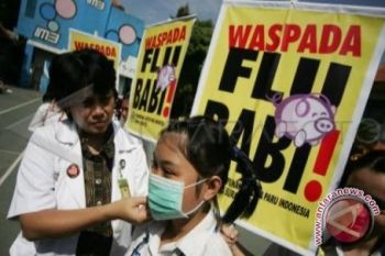 Flu Babi Tewaskan 19 Orang Di Suriah