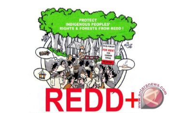 Kalteng Minta Pembahasan Kelanjutan REDD+ Dipercepat 