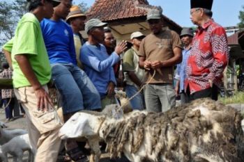 CALON BUPATI TEMANGGUNG