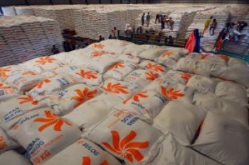 Kementan Dorong Bulog Optimalkan Penyerapan Beras Petani