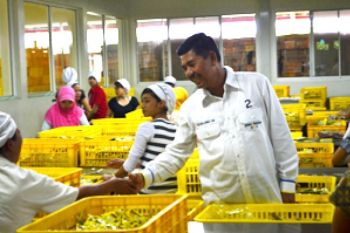 Sudijono Didukung Karyawan Sido Muncul