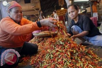 Harga Cabai di Makassar Kembali Naik 