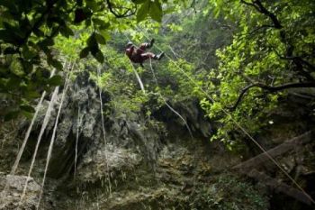 Hutan Patiayam Layak Dikembangkan Jadi Ekowisata