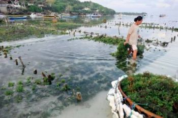 Dubes Papua Nugini Apresiasi Pelatihan Konservasi