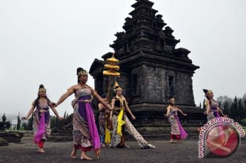 Jelang DFC, "Homestay" Dieng Habis Dipesan Wisatawan