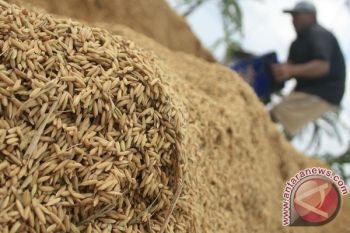 Stok Pangan di Semarang Dipastikan Aman
