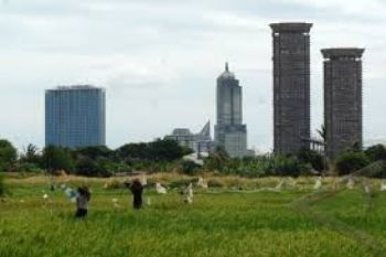 Petani Pekalongan Diminta Optimalkan Lahan