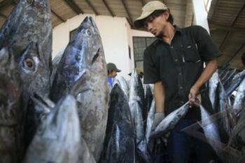Produksi Perikanan Pekalongan Terus Meningkat