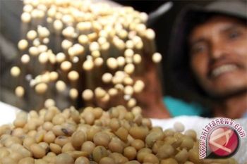 Bulog Surakarta Siap Penuhi 1.200 Ton Kedelai/Bulan