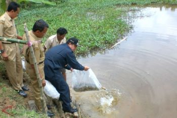 Pesisir Selatan Gelar Lomba Mancing Nasional