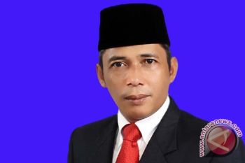 Iskandar unggul sementara Pilkada Bupati OKI
