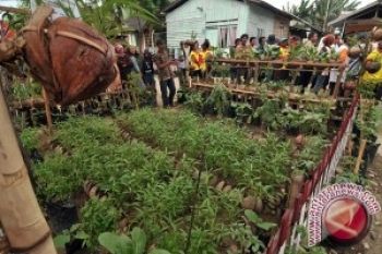 Kulon Progo galakkan Kawasan Rumah Pangan Lestari
