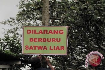 Gondokusuman siapkan larangan berburu satwa 