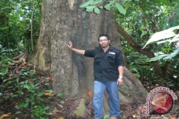 Pemkab jadikan hutan Bulian sebagai objek wisata 
