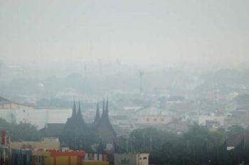 Udara Pagi Dumai Diselimuti Kabut Asap