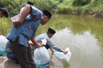 Sawahlunto Re-Stocking 300 Ribu Bibit Ikan 2016