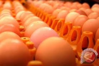 Pemkab Agam Bagikan 15.000 Telur Ayam Bagi Masyarakat