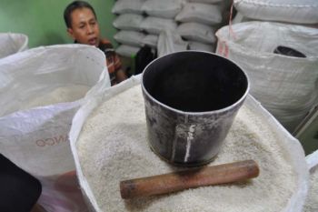 Solok Rice Geographical Indocation To Come Out Soon
